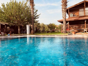 Defne Olive Gardens, Koca Calis, Fethiye - Previously Defne Pansiyon